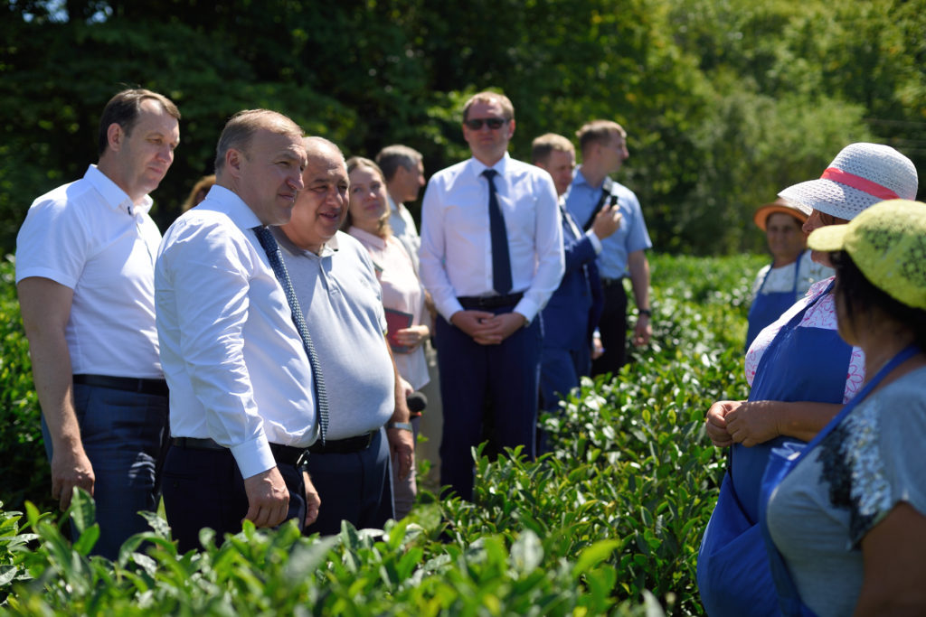 Глава Адыгеи: Развитию бренда «Адыгейский чай» способствует закон, подписанный Президентом РФ