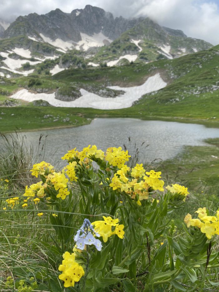 ЦУР Адыгеи узнал, за что туристы любят озеро Псенодах