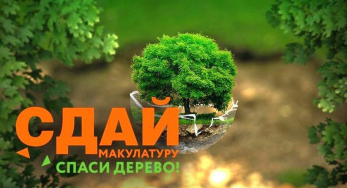 «Сдай макулатуру – спаси дерево»