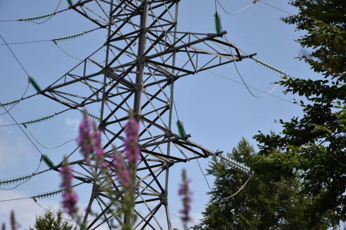 Более 1 000 км ЛЭП отремонтировали энергетики Адыгейского филиала «Россети Кубань»