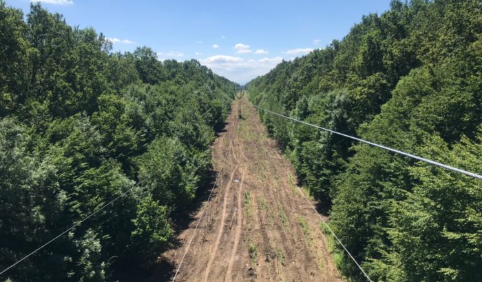 Адыгейский филиал «Россети Кубань» расчистил 200 га охранных зон ЛЭП с опережением графика